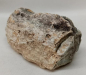 Preview: Versteinertes Holz Madagaskar